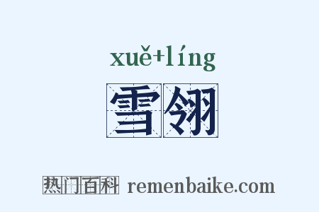 雪翎是什么意思的图片